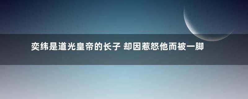 奕纬是道光皇帝的长子 却因惹怒他而被一脚踢死